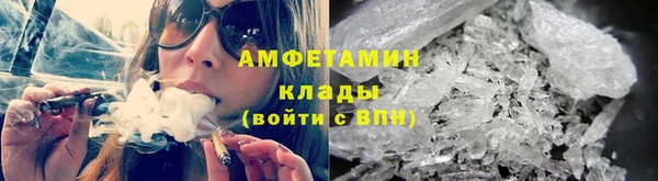 индика Заволжье
