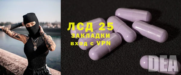 мяу мяу мука Белокуриха