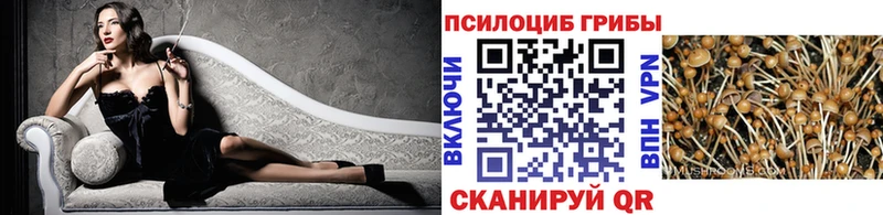 продажа наркотиков  blacksprut онион  Галлюциногенные грибы прущие грибы  Вуктыл 