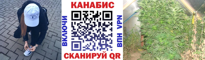 Марихуана SATIVA & INDICA  Вуктыл 